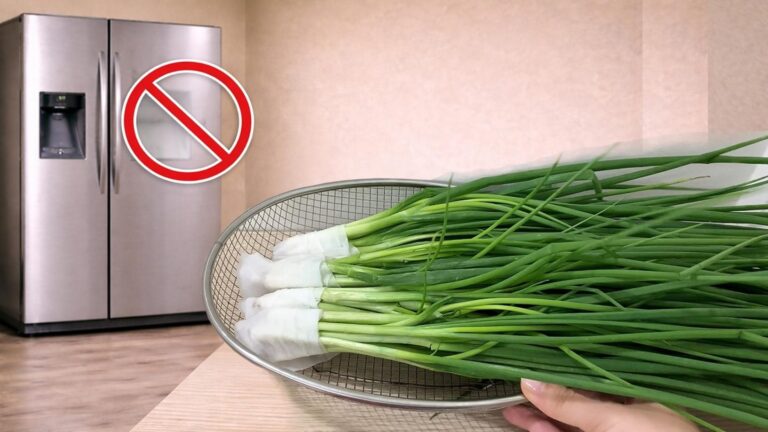 Cette astuce oubliée préserve vos oignons verts sans frigo… découvrez comment les garder