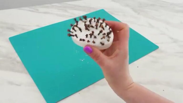 Avec cette technique à 1€, dites adieu aux insectes chez vous…