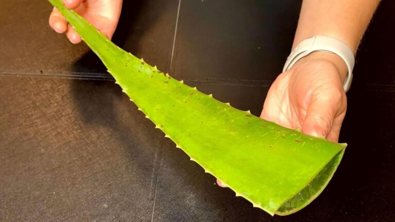 Découvrez cette recette maison qui fait pousser vos cheveux à une vitesse folle…