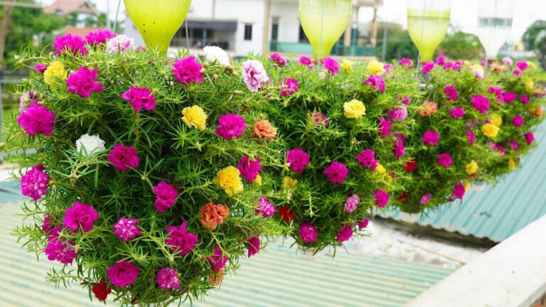 Avec des bouteilles en plastique, transformez votre balcon en un paradis fleuri…