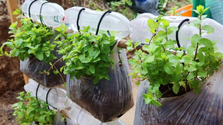 Une idée toute simple… Transformez des sacs plastiques en potager vertical luxuriant chez