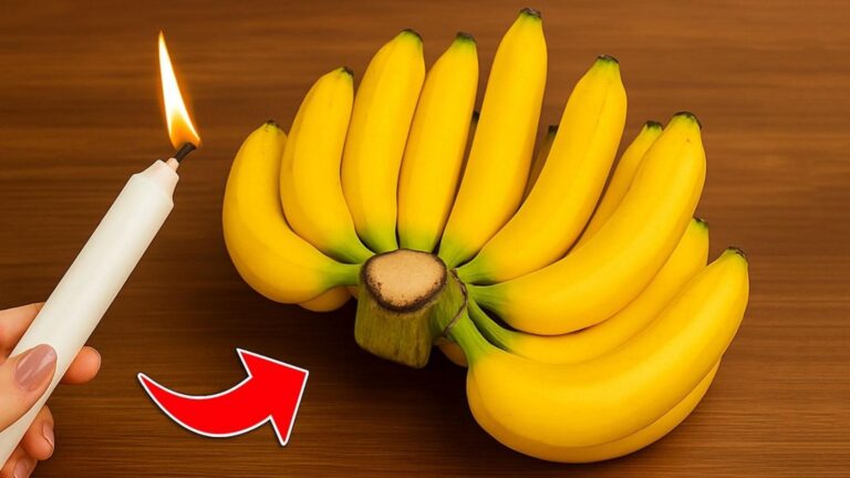 Beaucoup ignorent que ces astuces de grand-mère gardent vos bananes fraîches un mois…