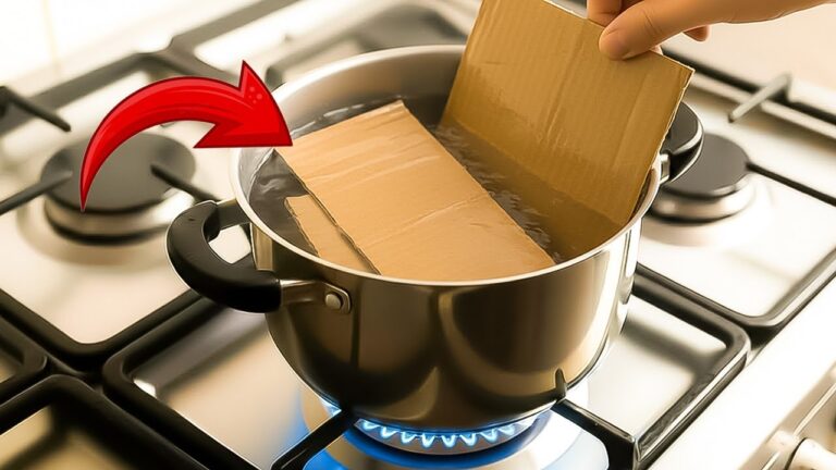 7 astuces surprenantes pour utiliser le carton bouilli chez vous !
