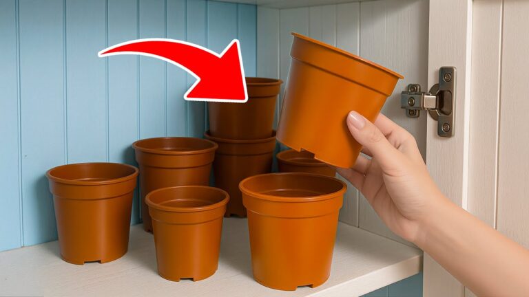 14 astuces ménagères brillantes qui vont transformer votre quotidien !