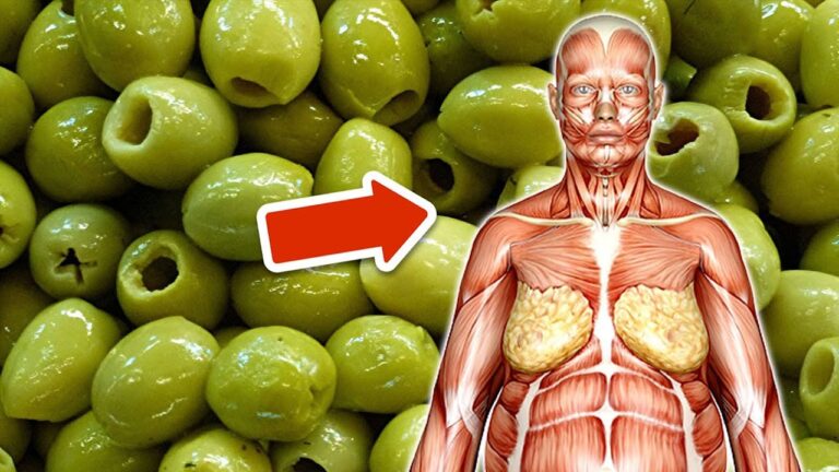 Chaque jour des olives : 5 bienfaits qui transformeraient votre vie !