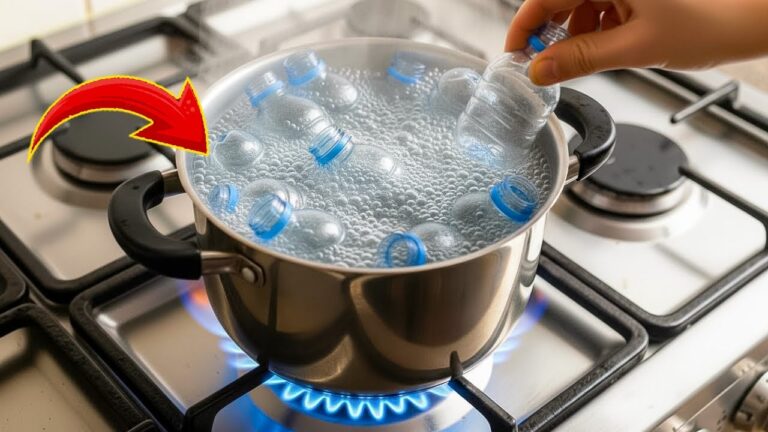 Transformez 5 bouteilles en plastique en astuces innovantes et rentables !
