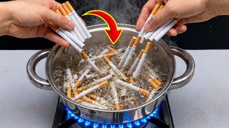 Découvrez 5 effets surprenants de faire bouillir une cigarette !