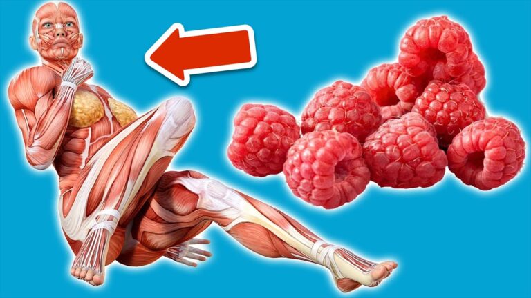 Découvrez 5 incroyables bienfaits des framboises au quotidien pour transformer votre vie !