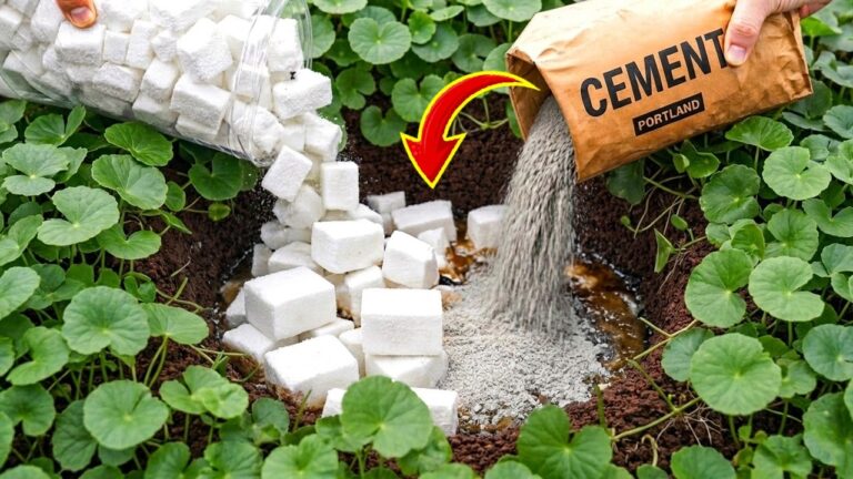 Transformez 3 idées pour réutiliser polystyrène et ciment dans votre jardin !