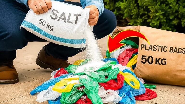 Transformez 5 sacs plastiques en un objet étonnant avec du sel ! Découvrez comment.