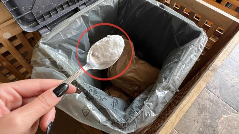 Éliminer les mauvaises odeurs des poubelles : l&rsquo;astuce d&rsquo;une pincée