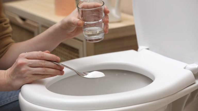 Obtenez une eau pétillante et pure sans aucun effort