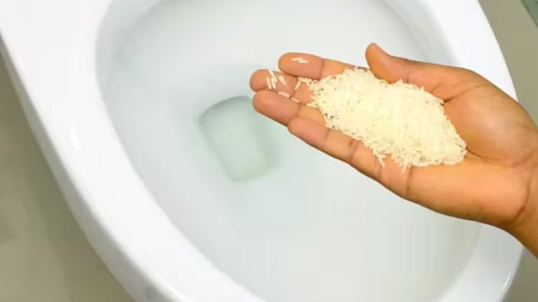 Que se passe-t-il en mettant du riz dans la salle de bain ? Découvrez-le !