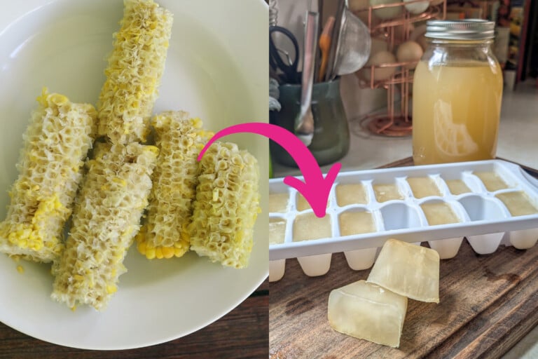 Transformez vos épis de maïs en un bouillon savoureux