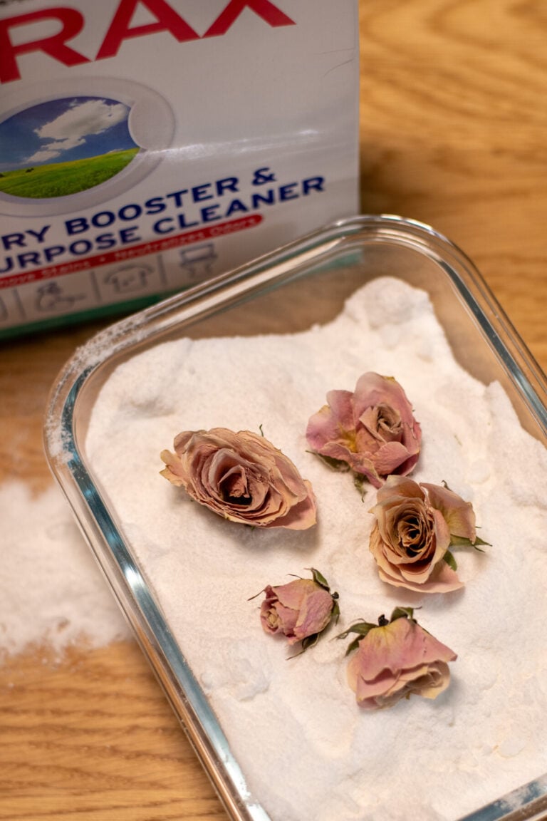 Comment sécher facilement des fleurs pour des bouquets durables avec 3 objets du quotidien