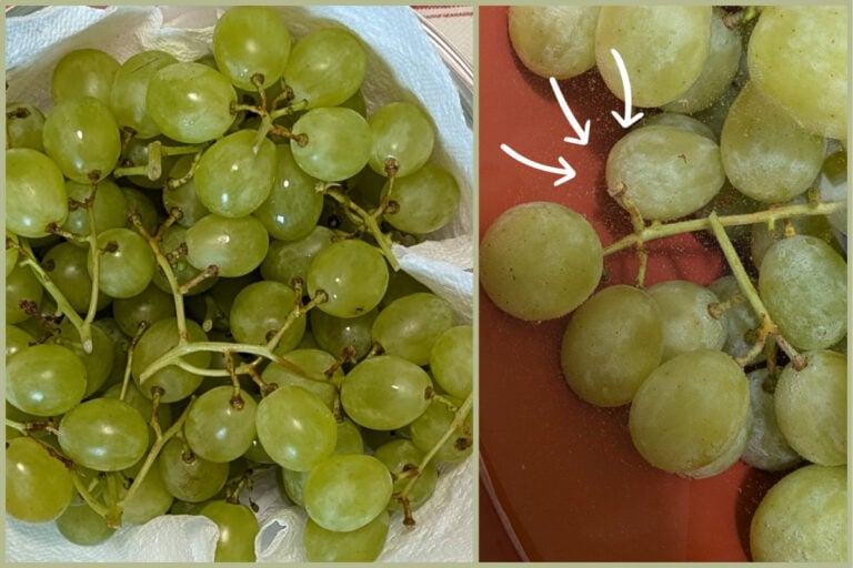 Conservez des raisins frais pendant un mois grâce à ma méthode secrète
