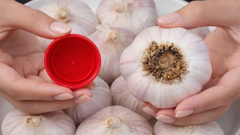 Peeling d&rsquo;ail : 1 méthode pour en éplucher un plat entier en 10 secondes !