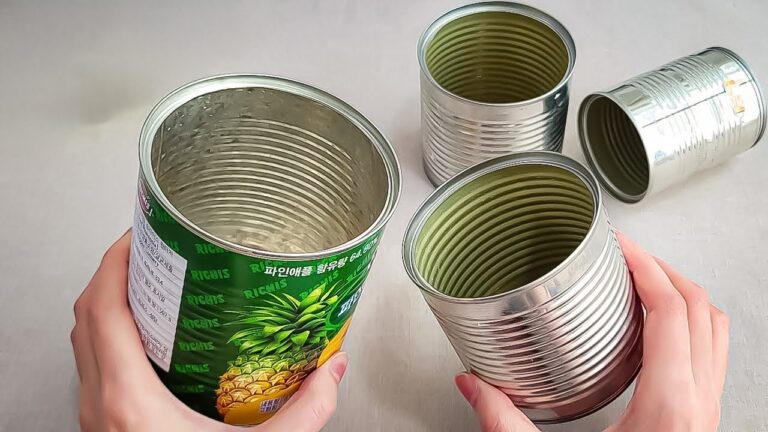 Transformez 10 boîtes de conserve vides en idées rentables et créatives !