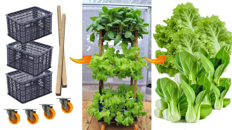 Cultivez 5 légumes dans des paniers recyclés pour un jardin vertical éco-friendly !
