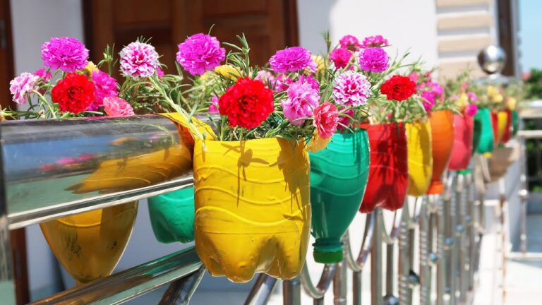 Transformez 5 bouteilles en plastique en un jardin suspendu magnifique sur votre balcon !