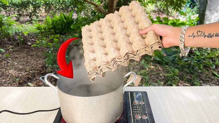 Transformez 5 façons d&rsquo;utiliser des plateaux d&rsquo;œufs en astuces pratiques et durables !