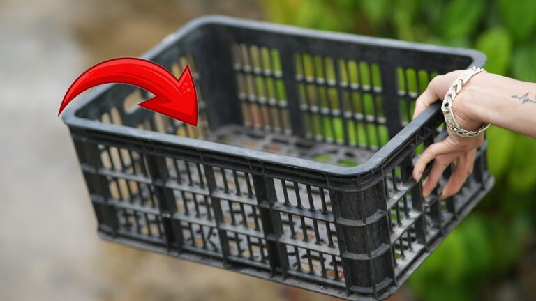 Découvrez 5 astuces surprenantes avec des caisses en plastique à ne pas manquer !